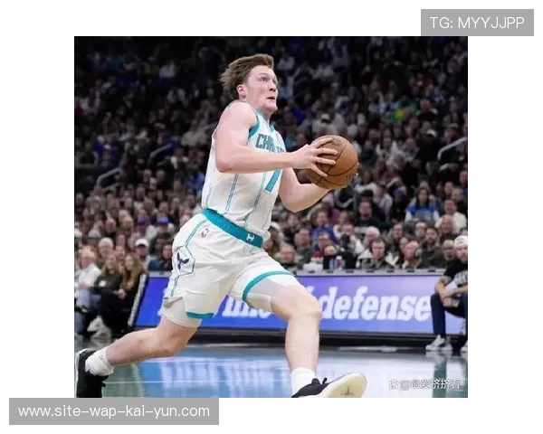 克尼佩尔场均命中2.75三分,黄蜂新秀外线火力出众。 克尼佩尔场均命中2.75三分,黄蜂新秀外线火力出众。